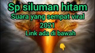 sp siluman hitam