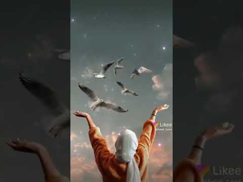 اغنيه جميله على صور بنات محجبات