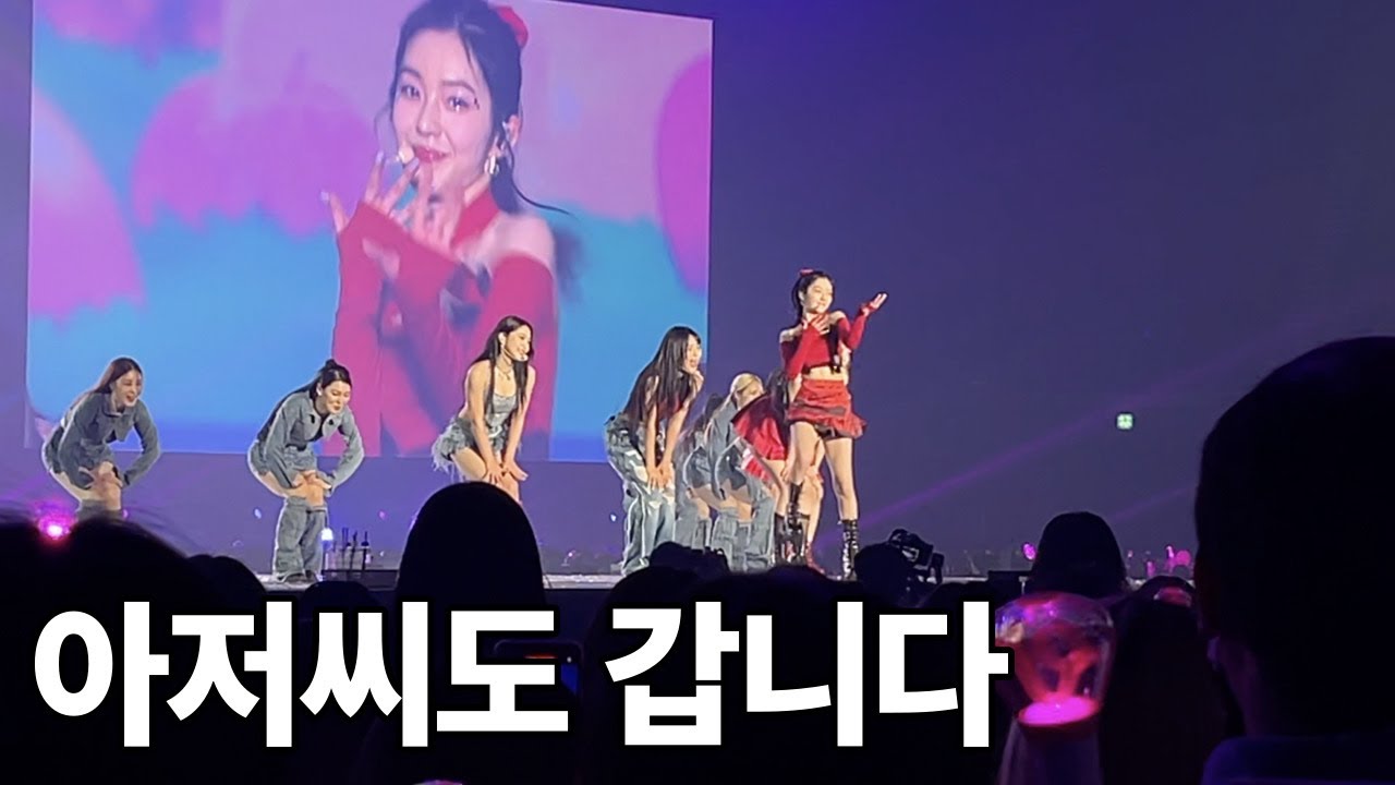나이 사십 먹고 아이돌 보고 왔습니다ㅣ레드벨벳 콘서트 후기