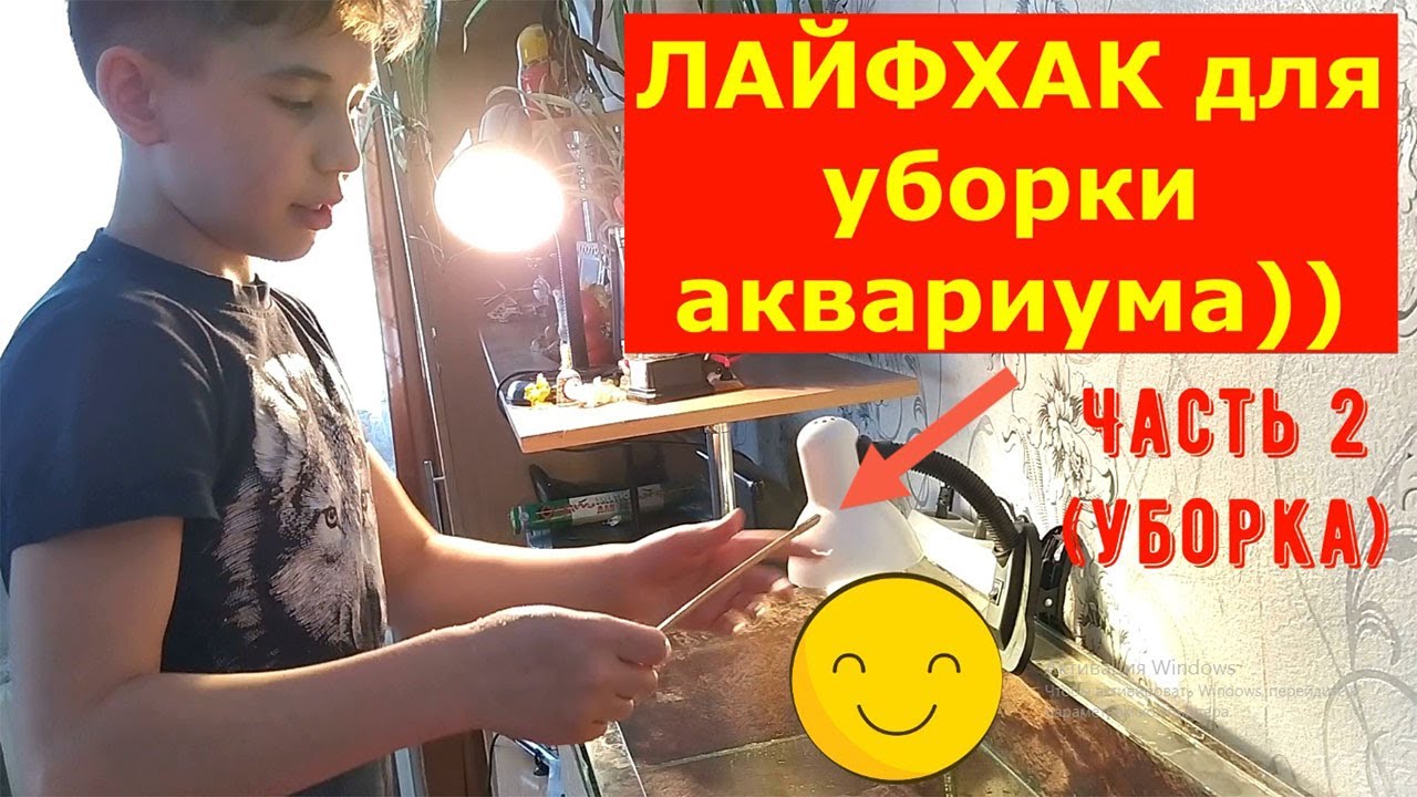 Как ухаживать за водной черепахой.Уборка в аквариуме.Чем чистить аквариум.Кот и черепаха.Turtle.Cat.