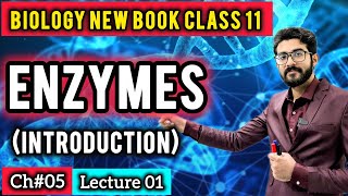 Enzymes Introduction Class 11 Chapter 5 | Characteristics & Importance | Biology New Book