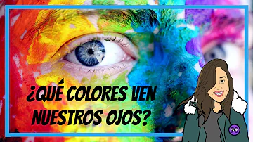 ¿Qué colores no pueden ver los humanos?