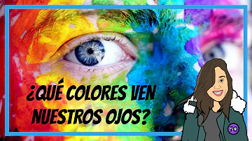 ¿Qué color ve más rápido el ojo humano?