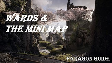 Wards, Vision & The Mini Map | Paragon Guide | Paragon v30.2 Gameplay