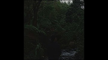Rizal Ali - Let Me Love You
