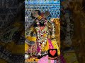 आज के श्रृंगार दर्शन श्री बांके बिहारी जी वृन्दावन धाम #krishnastatus #krishnabhajan #radha #krishna