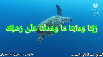 الشيخ عبد العالي الشهيب..ماتيسر من سورة ال عمران..١٤٤٣/٨/٢٨