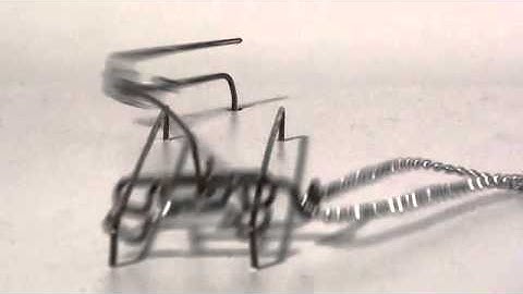 Experiment n°8 - ECAL/Guillaume Coquoz - Workshop with Pe Lang