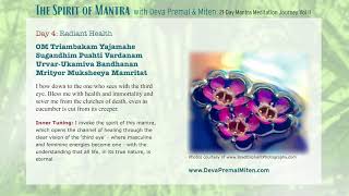 The Spirit of Mantra: 21-Day Mantra Meditation Journey Vol. II - Day 4 by Deva Premal & Miten 3,038 views 1 year ago 17 minutes