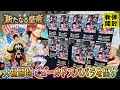 【ワンピースカード】2周年は圧倒的内容…新弾「新たなる皇帝」をカートン開封！！ゴールドスパパラ出ちゃう…？【ONE PIECE】【ワンピカ開封】