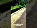 Virtual Walking Pakai HP Doang 📱 Tapi Suasananya Bikin Nagih 😌