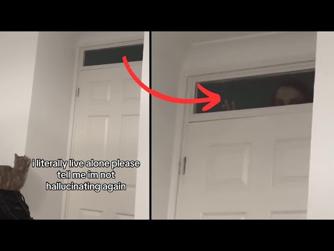 Something was trying to get into her room.. [ 5 Scary Videos ]