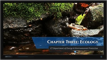 Wetland Functions & Values: Chapter 3 Ecology