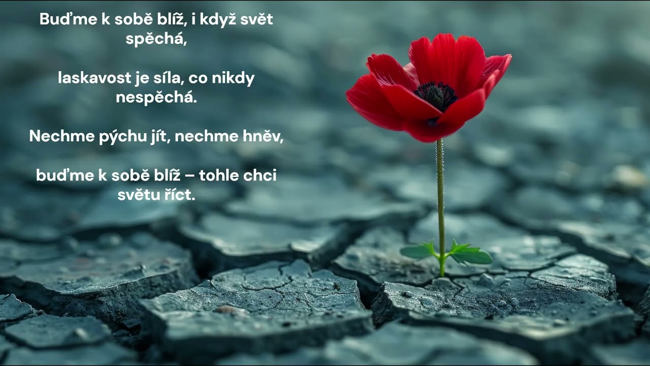 Elaris-💖Buďme k sobě blíž/💛🕊️Stačí být tu, když je zle. Děkuji, že posloucháte s otevřeným srdcem 💖