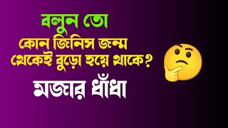 মজার মজার ধাঁধা || বাংলা ধাঁধা || Bangla Puzzle Video || Bangla Dha Dha