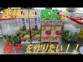梅酒と梅干の作り方動画