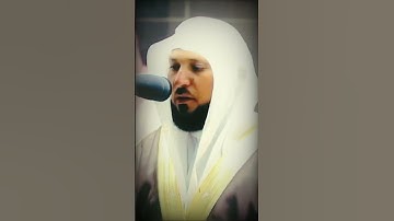 تلاوة خاشعة تبكي القلب 🍁 😢بصوت جميل جدا حالات واتس اب قران 😭💚🍃 Quran status