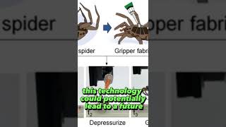 Unbelievable Science Experiments Zombie Spiders Real?
