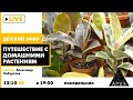 Детский эфир "Путешествие с домашними растениями" в рамках рубрики "Путешествия с натуралистом"