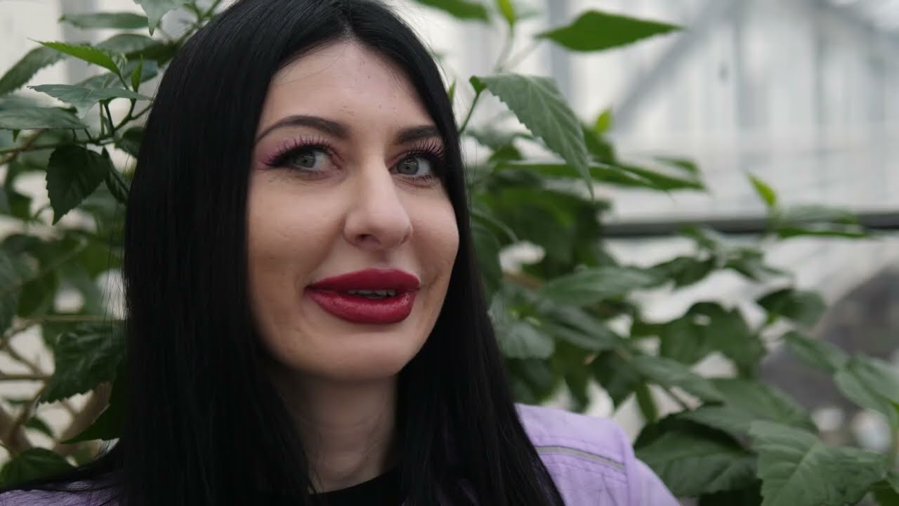 БИО ФЕЛЛИНИ 3 tv