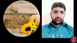 Hot Mujra Hot Mujra Steps Cycle Ground Funn Arid