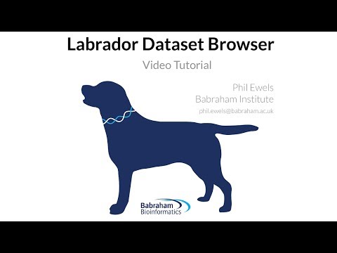 Labrador Installation Walkthrough