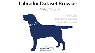 Labrador Installation Walkthrough
