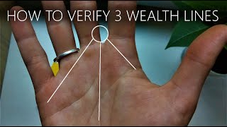 Verifying Your Wealth Lines