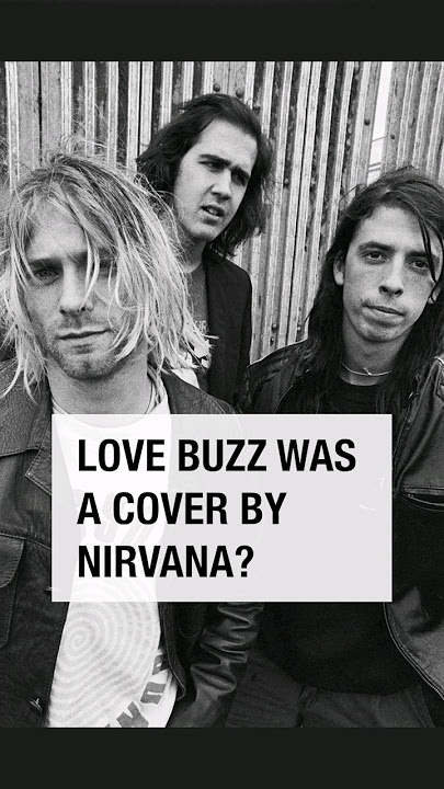Shocking Blue & Nirvana [Love Buzz]#oldsong #greatsong #coversong