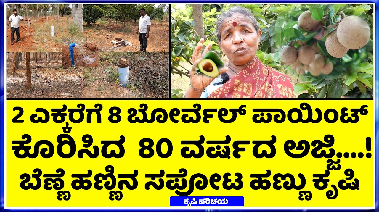ಹಣ್ಣಿನ ವಿಶೇಷತೆ ಏನು? ಬೆಳೆಯೋದು ಹೇಗೆ? How to grow Butter fruit..& sapota