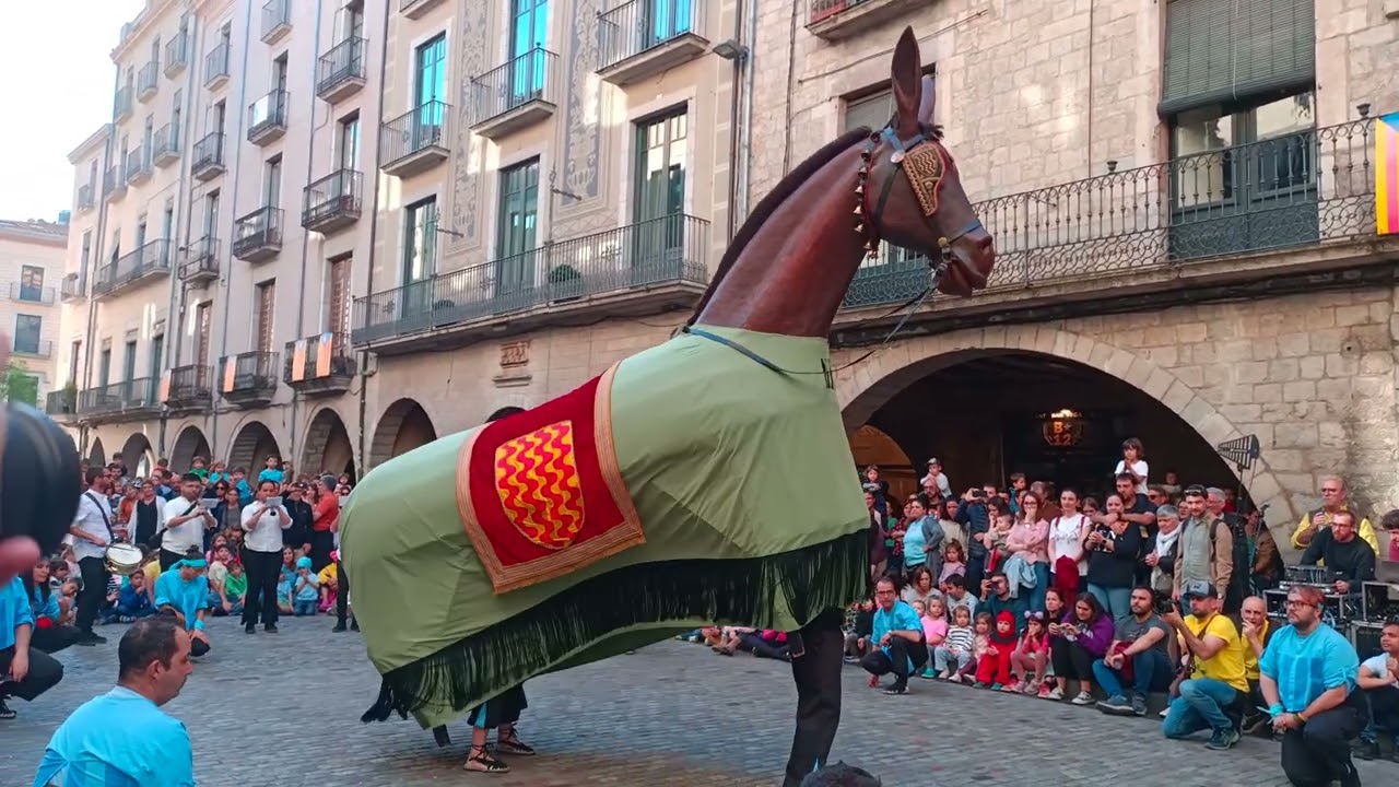 Mulassa de Tarragona | Gerionada de les Festes de Primavera de Girona 2024