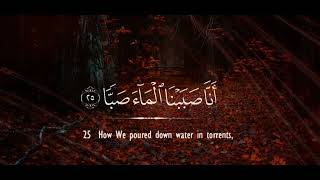 Surah Abasa (Full) | Salah Musally | English Translation