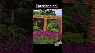 Авторские песни Зауре Набиевны #song #life #happy #dream #relaxing #love