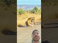 LEOPARD ATTACKS BABOON BaboonVsLeopard#LeopardAttack#BaboonFight#WildlifeBattle#AnimalFight#NatureIs