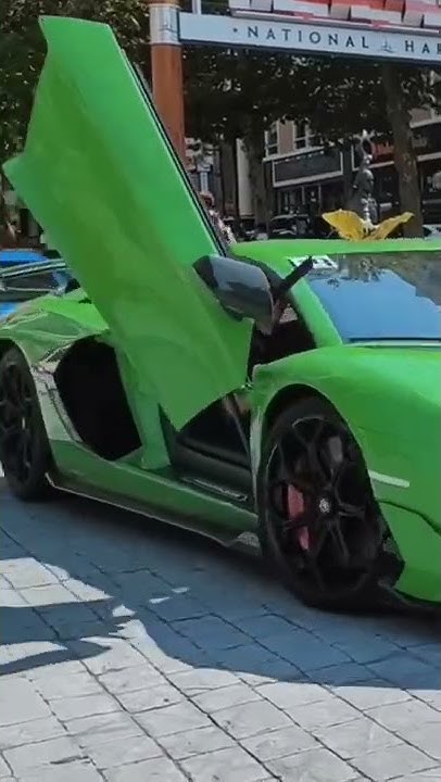 Green Sally Up Green Sally Down Lyrics GREEN SALLY UP, GREEN SALLY DOWN 🎶💪#supercars #green - YouTube