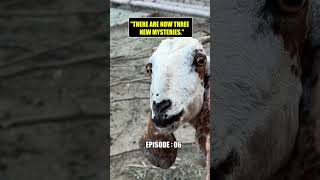 Investigation update: we're cooked 😭🐐