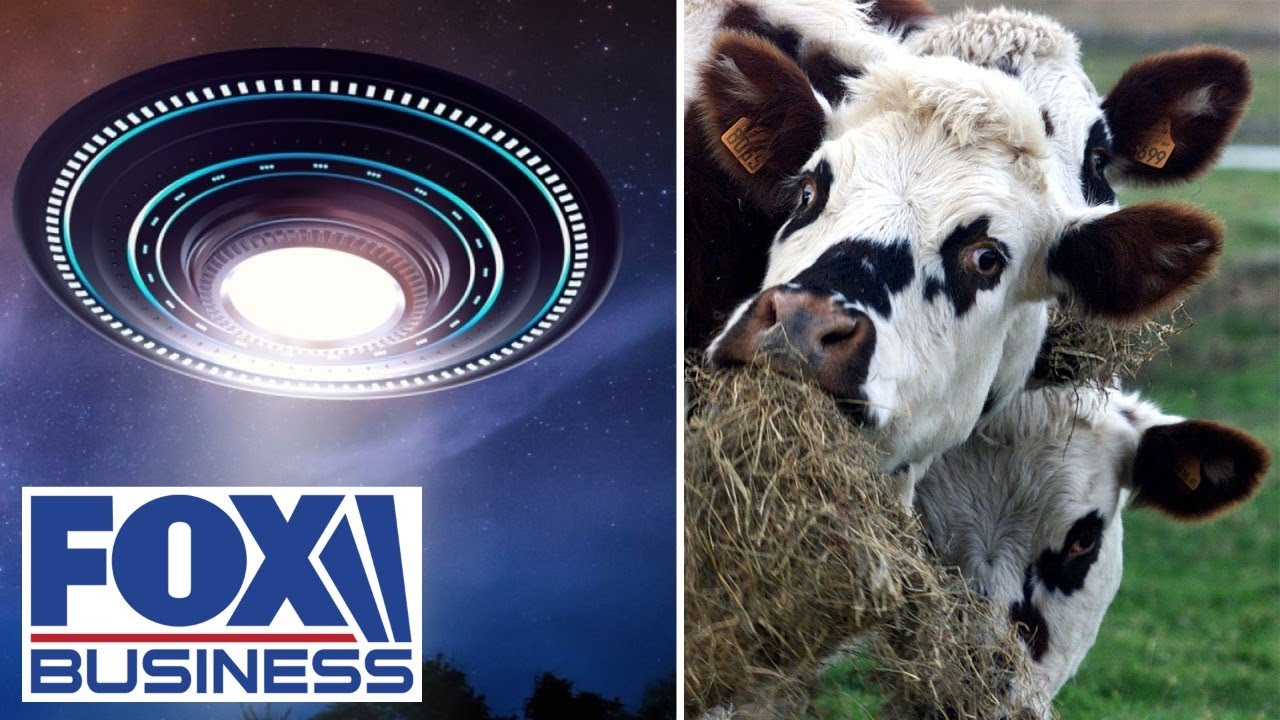 Mutilated cow deaths spark UFO fears in Texas