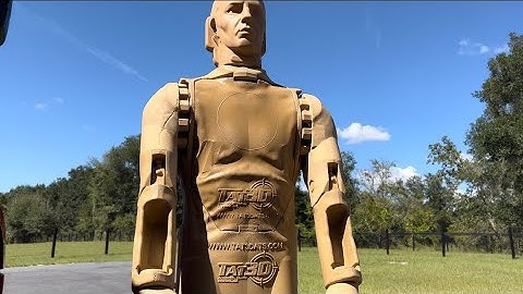 TAT3D Mario Target System