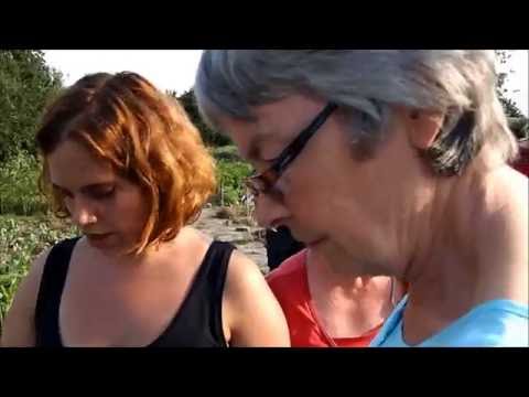 Wie viele Quadratmeter gibt's zum Mittag?
