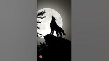 Thumbnail of Wolf howling sound