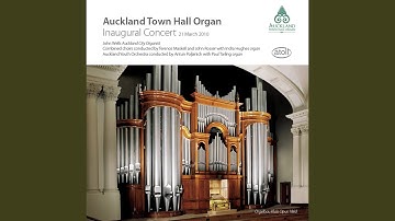 Symphony No. 1 in D Minor for Organ and Orchestra, Op. 42: I. Introduction and Allegro