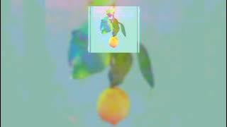 Lemon - kenshi yonezu ( RO-MAN-J ) lyricz