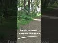 Не исполняя заповеди   что вы скажете тогда, Когда восстанет истина суда 1