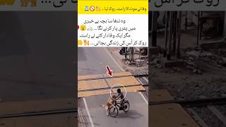 "A Dog’s Brave Act Saved an Innocent Life" 🐕🚲✨#subscribe #youtubeshorts #viral #foryou