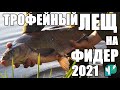 Ловля Трофейного ЛЕЩа на Фидер 2021.  Рыбалка в Беларуси