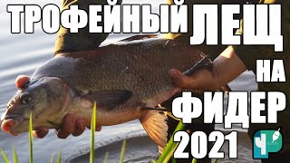 Ловля Трофейного ЛЕЩа на Фидер 2021.  Рыбалка в Беларуси