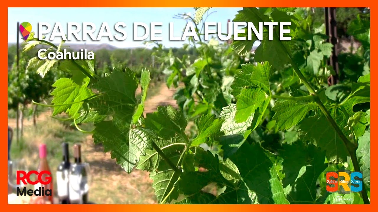 Sabor, Ritmo y Sazón Temporada 5. Parras de la Fuente, Coahuila.