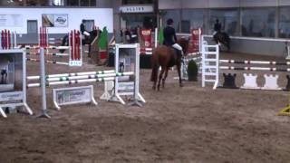 20160130, Allius, 1.05m, Buddy Z
