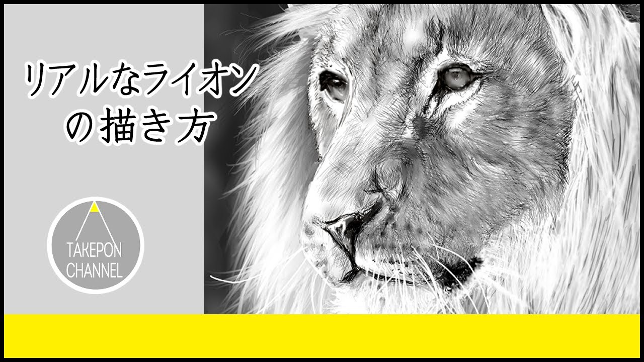 動物の描き方 リアルなライオンのイラストが誰でも簡単に上手くなる方法 Howtodrawlion Youtube