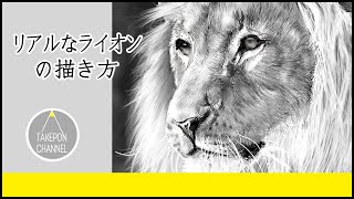 動物の描き方 リアルなライオンのイラストが誰でも簡単に上手くなる方法 Howtodrawlion Youtube